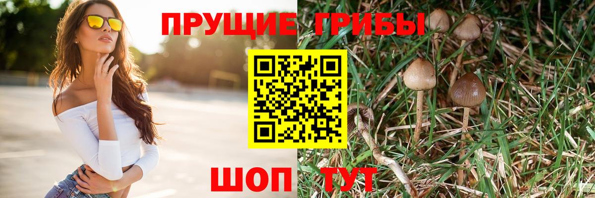 Ялуторовск  Псилоцибиновые грибы ЛСД  Вход с VPN 